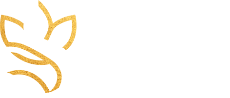sivanaidoo.com